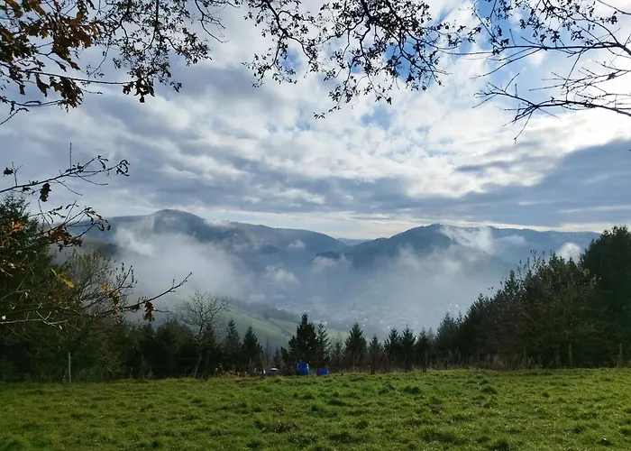 Lejlighed Avec Piscine Saint-Geniez-dʼOlt