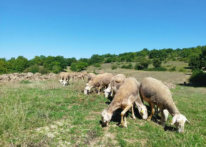 Avec Piscine * Saint-Geniez-dʼOlt