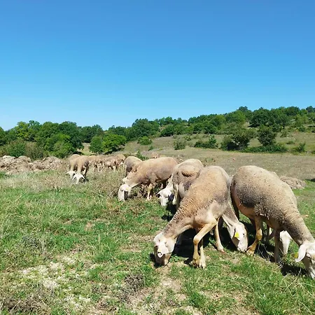 Avec Piscine * Saint-Geniez-dʼOlt
