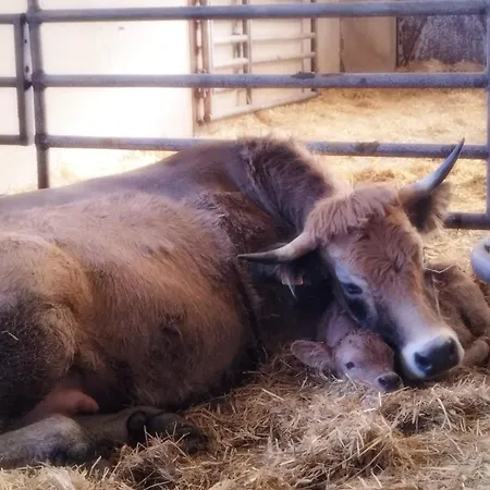 Appartamento Avec Piscine Saint-Geniez-dʼOlt